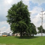 Site of Ogle farm where settlers went for safety during a false Indian scare Site of Ogle farm where settlers went for safety during a false Indian scare