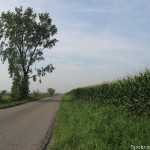 County line road, just south of SR 26 County line road, just south of SR 26
