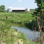 Kickapoo Creek at N Independence - Pine Village Road Kickapoo Creek at N Independence - Pine Village Road
