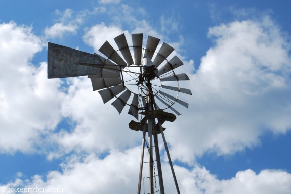 random image