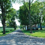 The wrong side of Deer Lick Creek