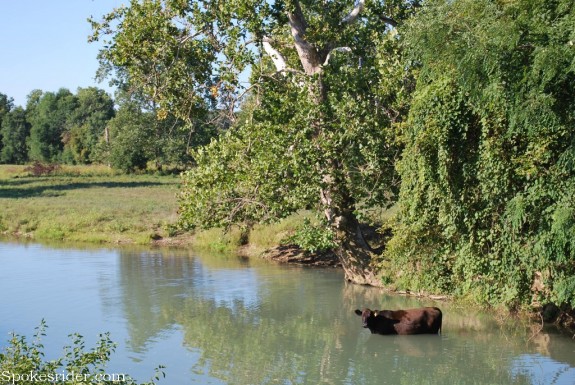 Middle Fork of the Whitewater River on Inke Road, north of Middleboro