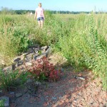 Some locals said in winter this vegetation doesn't block the view. Others said the vegetation was the most interesting part.